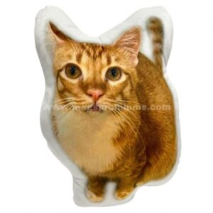 Custom Shaped Pillows