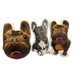 Custom Printed Pillows