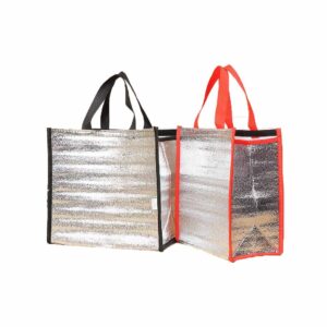 Aluminium Cooler Bag