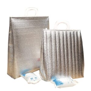 Insulated Food Delivery Foil Bag